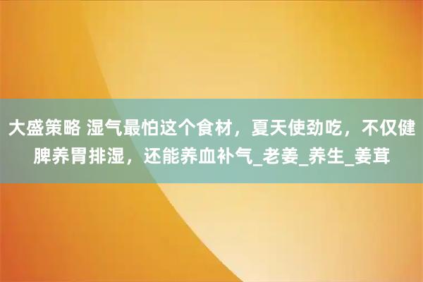 大盛策略 湿气最怕这个食材，夏天使劲吃，不仅健脾养胃排湿，还能养血补气_老姜_养生_姜茸