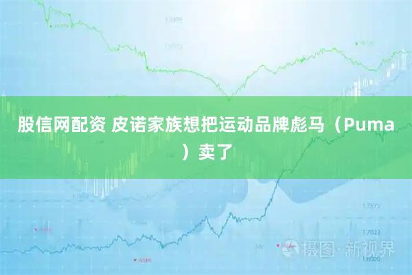 股信网配资 皮诺家族想把运动品牌彪马（Puma）卖了