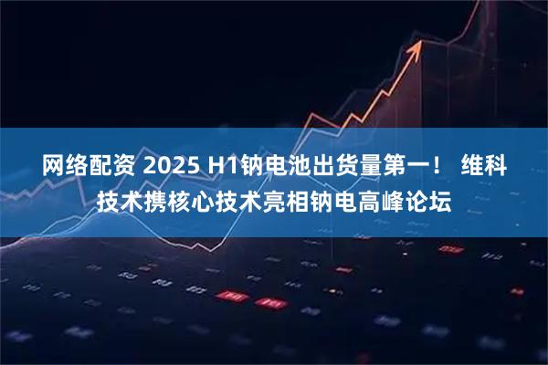 网络配资 2025 H1钠电池出货量第一！ 维科技术携核心技术亮相钠电高峰论坛
