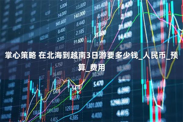 掌心策略 在北海到越南3日游要多少钱_人民币_预算_费用